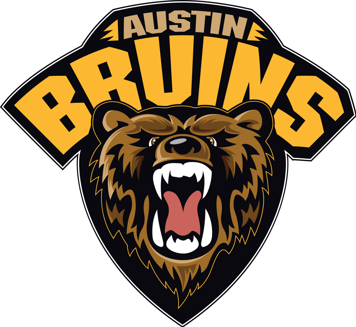 Austin Bruins